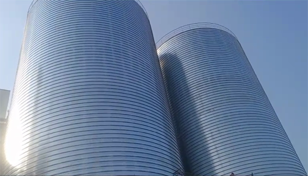 水满乡2座混凝土高架卷板仓